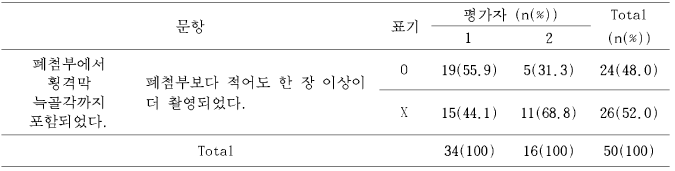 폐첨부 촬영