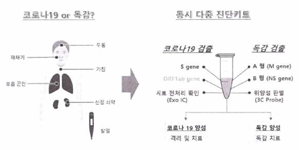 코로나19/독감옳 구분하는 분자 진단 제품의 용도와 제품 구성의 개요