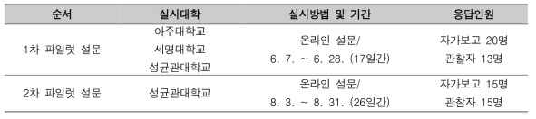 파일럿 설문 개요