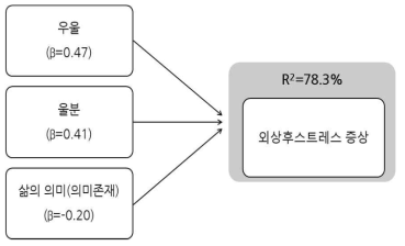 우울, 울분, 의미존재가 외상후스트레스 증상에 미치는 영향