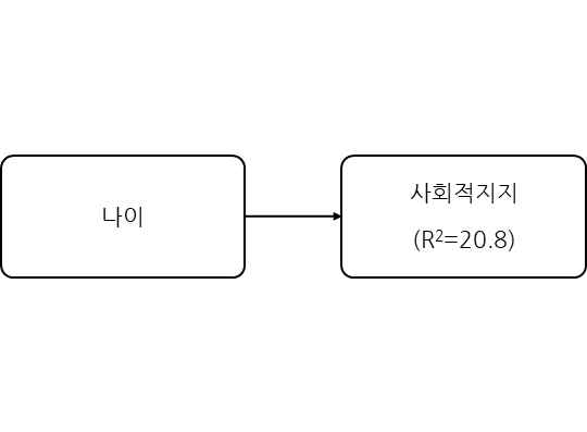 나이가 사회적지지에 미치는 영향