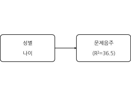 성별, 나이가 문제음주에 미치는 영향