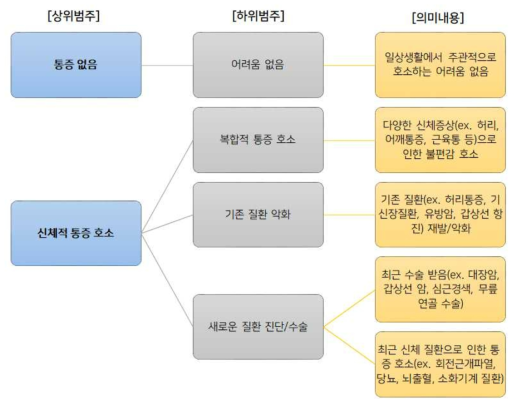 신체적 통증으로 인한 주된 어려움