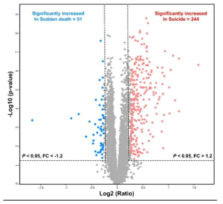 자살자 및 돌연사망자의 사후뇌조직 시료에서 유의한 발현 차이를 보이는 295 단백질에 대한 Volcano plot
