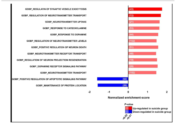 정량분석된 8,035 단백질을 이용한 Gene Set Enrichment Analysis (GSEA) 결과