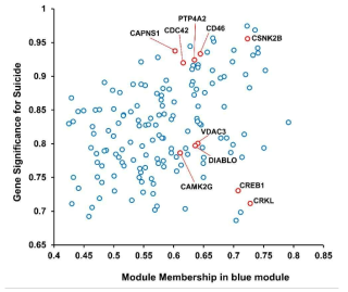 “Nervous System Development and Function”에 속한 단백질들의 Gene Significance와 Module Membership