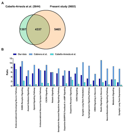 다른 dataset과의 비교 분석 결과