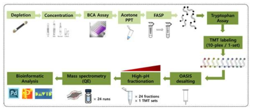 In-depth proteomic profiling 실험 분석 방법