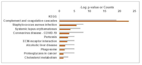 정상군 및 자살사고자 혈장 시료에서 유의한 발현 차이를 보이는 71개 단백질에 대한 KEGG pathway 분석 결과 (회색 바 그래프는 해당 term에 포함되는 단백질의 개수임)