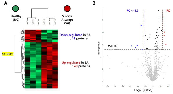 정상군 및 자살시도자 혈장 시료에서 유의한 발현 차이를 보이는 51개 단백질에 대한 Hierarchical clustering (A) 및 Volcano plot (B)