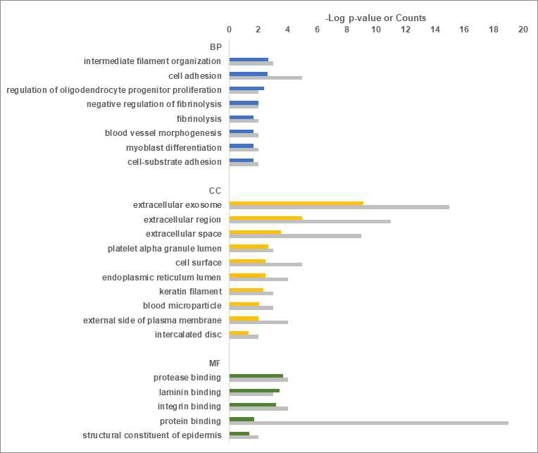 자살사고자 및 자살시도자 혈장 시료에서 유의한 발현 차이를 보이는 22개 단백질에 대한 Gene Ontology (GO) 분석 결과 (회색 바 그래프는 해당 term에 포함되는 단백질의 개수임)