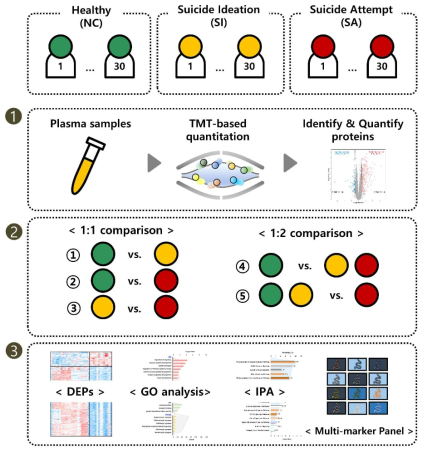 정상 및 자살 관련군 혈액 시료에 대한 in-depth 단백체 프로파일링 워크플로우