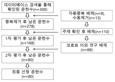 국외문헌의 문헌고찰 흐름도