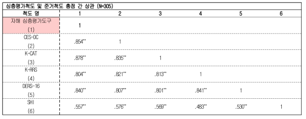 심층평가척도 및 준거척도 총점 간 상관