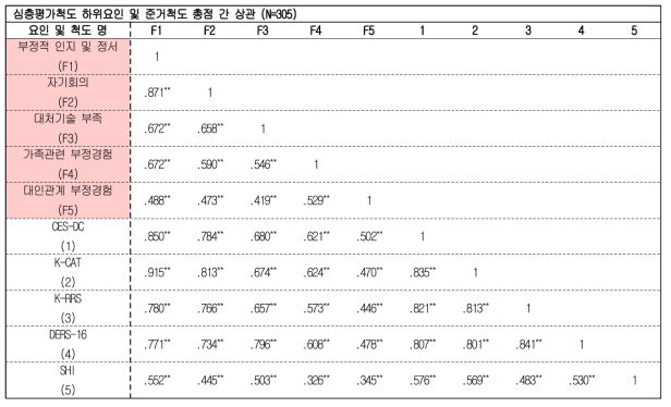 심층평가척도 하위요인 및 준거척도 총점 간 상관