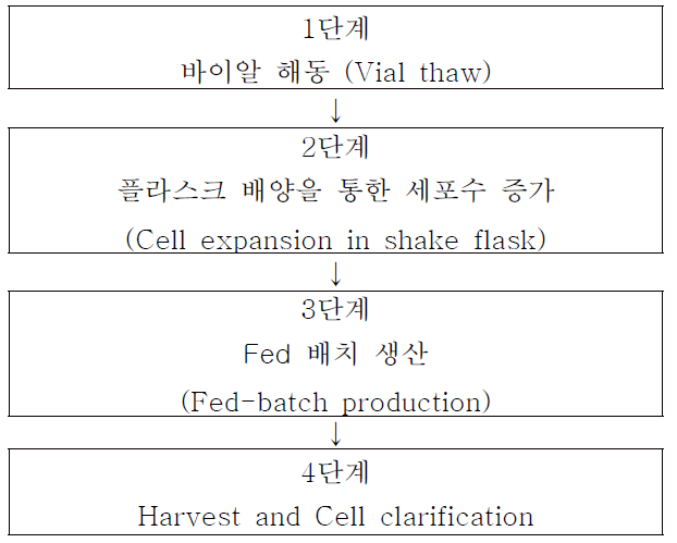 업스트림 생산 공정 순서도 (Upstream Manufacturing Process)