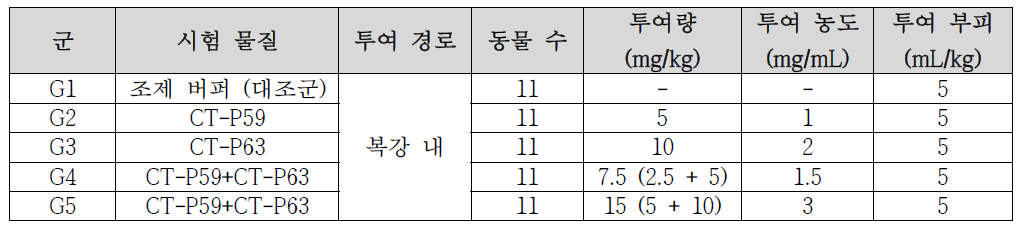 시험 디자인