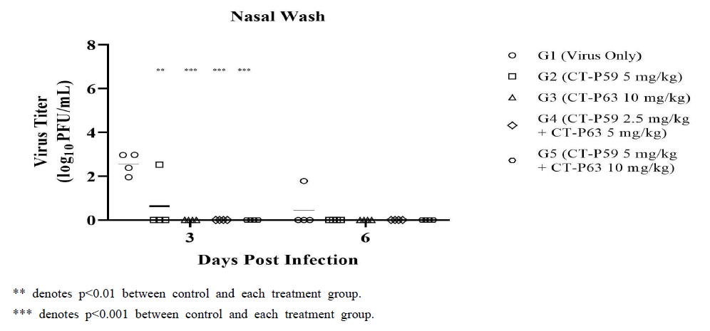 바이러스 접종 후 3일차 및 6일차 비강 세척액에서의 바이러스 역가 측정 결과