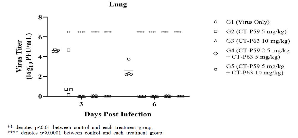 바이러스 접종 후 3일차 및 6일차 폐 조직에서의 바이러스 역가 측정 결과