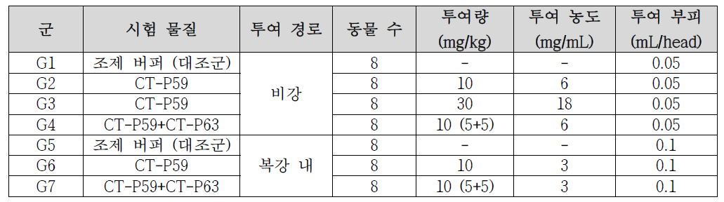 시험 디자인