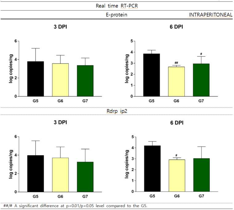 바이러스 접종 후 3일차 및 6일차 복강 투여군 폐 조직에 대한 RT-PCR 검사 결과