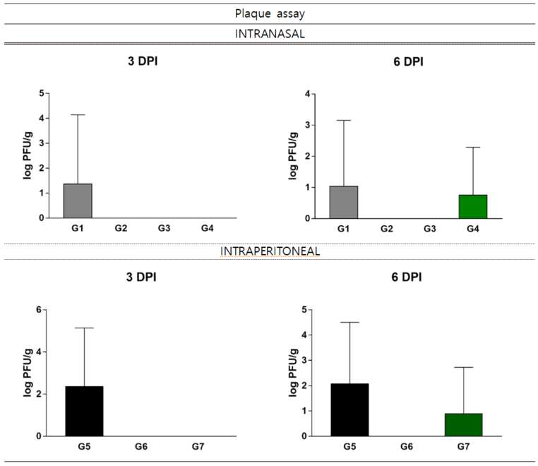 바이러스 접종 후 3일차 및 6일차 비강 및 복강 투여군 폐 조직에 대한 plaque assay 분석 결과