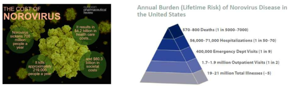 WHO 및 US CDC 노로바이러스 질환 관련 사회·경제적 손실 비용 추산