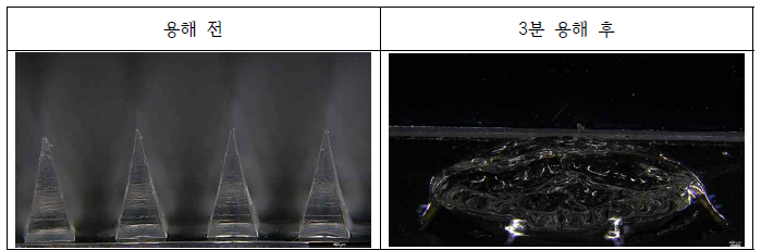 마이크로니들 용해속도 측정한 현미경 이미지 결과