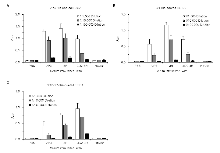 재조합 VP3-His, 3R-His, 3D2-3R-His 단백질이 코팅된 ELISA plate를 이용한 VP3, 3R, 3D2-3R 시험백신 및 HavrixTM 백신 복강투여군의 IgG 항체 분석