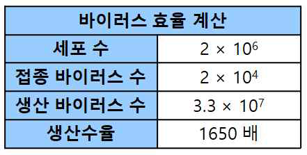 0.01 MOI 배양시 효율