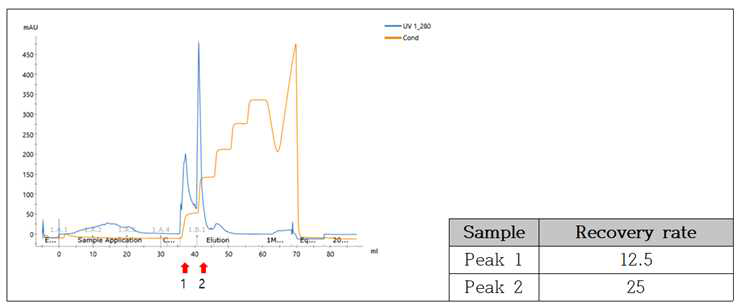 Hitrap Q sepharose FF 결과