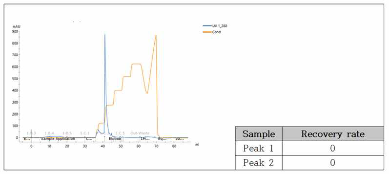 Hitrap Q sepharose XL 결과