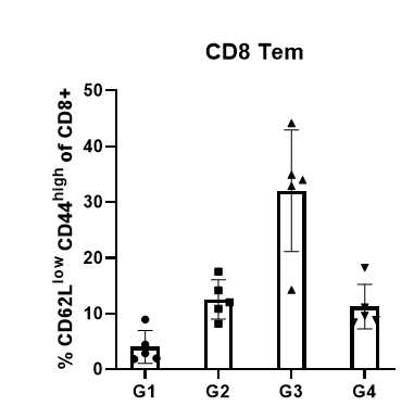 CD8 T cell 확인