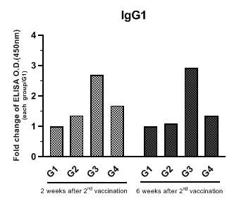 IgG1 ELISA 결과