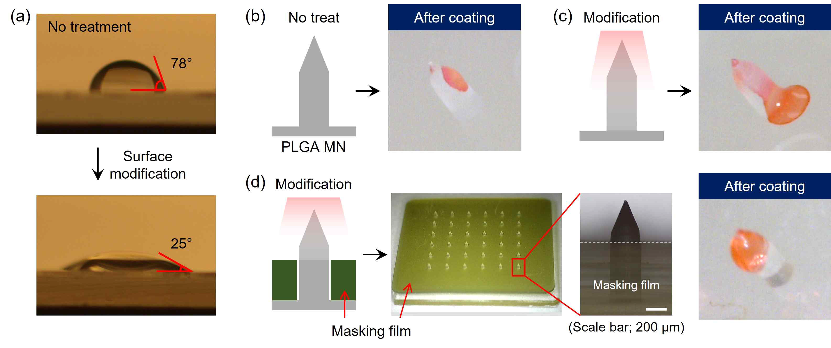 (a) 표면 개질에 따른 표면 특성 변화, (b) 표면처리하지 않은 마이크로니들, (c) 전면적에 표면처리한 마이크로니들, (d) masking film을 이용하여 선택적으로 표면처리한 마이크로니들