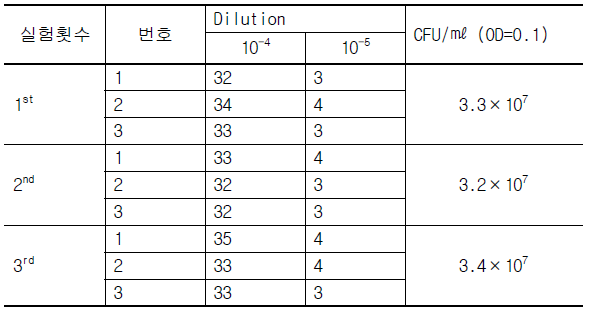 Mycobacterium bovis BCG Korea 균주 배양 후 집락수 계산