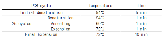 PCR 조건