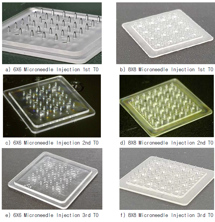 6X6, 8X8 Array 마이크로니들 시사출