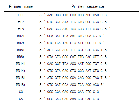 BCG sub-strain 확인 시험에 사용한 프라이머