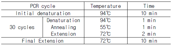 PCR 조건