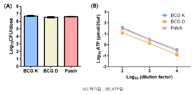 배양액, 마이크로니들의 역가측정 및 ATP assay