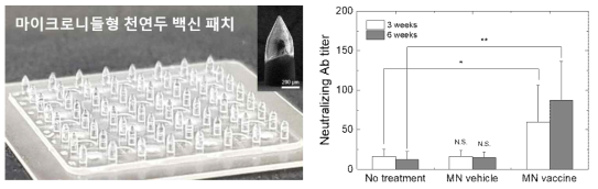 마이크로니들 기반 신속 백신 생산 플랫폼을 이용하여 제작된 마이크로니들형 천연두 백신 패치 사진(왼쪽) 및 중화항체 형성 평가 결과(오른쪽)