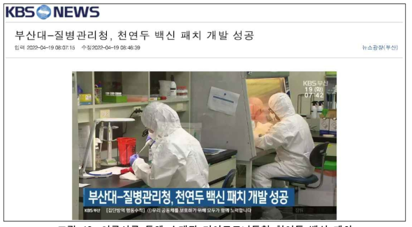 언론사를 통해 소개된 마이크로니들형 천연두 백신 패치