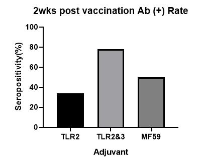 마우스에서 백신 접종 2주 후 면역증강제 별 항체 양성률