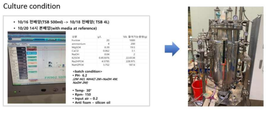 100L scale 배양 최적화를 위한 배양 조건