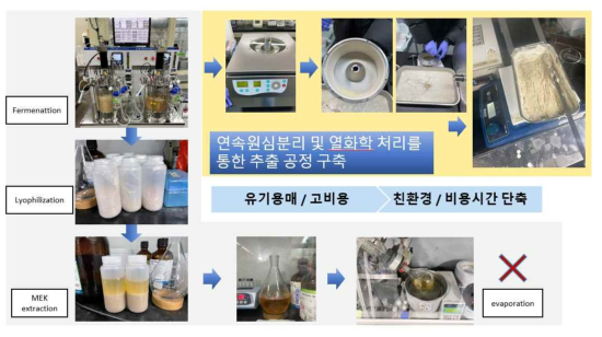 유기용매 추출법과 친환경 추출 정제 공정 비교