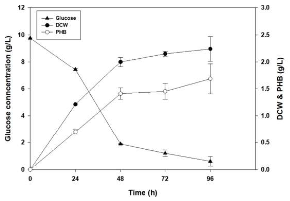 신규 발굴 균주 CDW, PHB 생산량 및 glucose 소모량