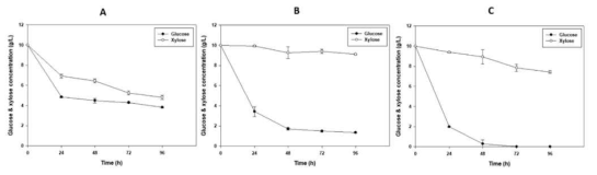 균주에 따른 당소모율 비교 (A) Loktanella sp. SM43 (B) R. eutropha NCIMB 11599 (C) Halomonas sp. YLG01