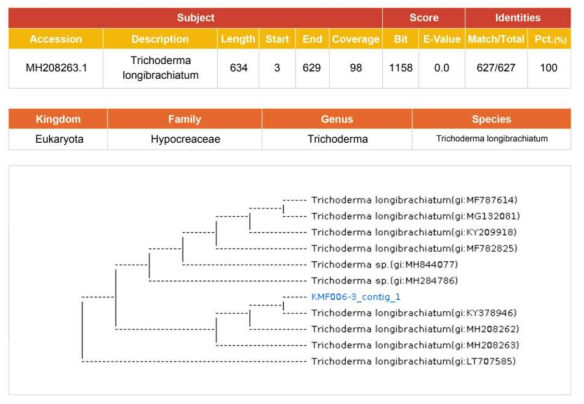 KMF006의 Phylogenetic tree>