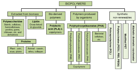 바이오폴리머의 분류 (Vaehae-Nissi et al., 2010, Materials science)